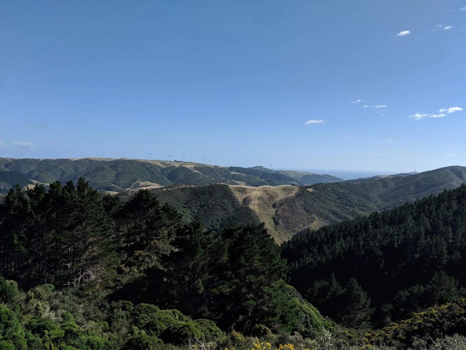 Karori Park — photo 3