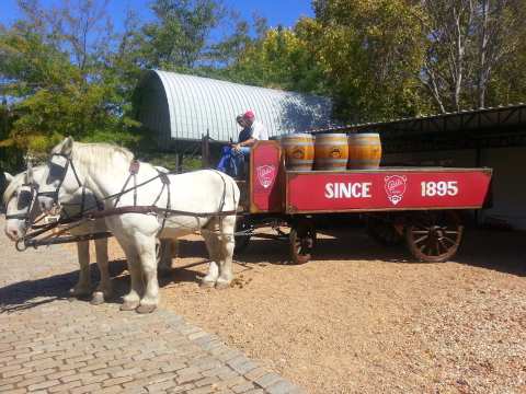 Newlands Brewery Tours — photo 4