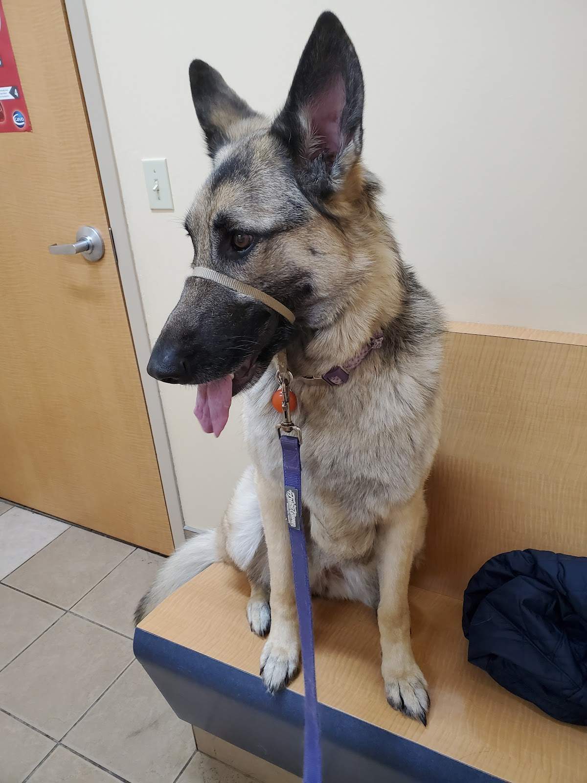Cedar Grove Veterinary Services — photo 1