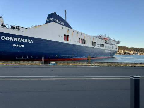 Bluebridge Cook Strait Ferries - Wellington — photo 3