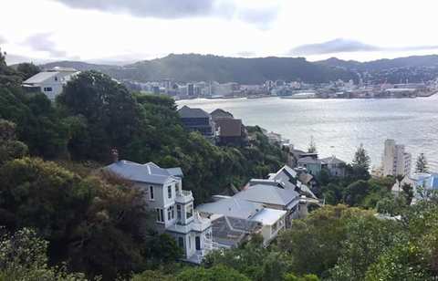 Wellington — photo 2