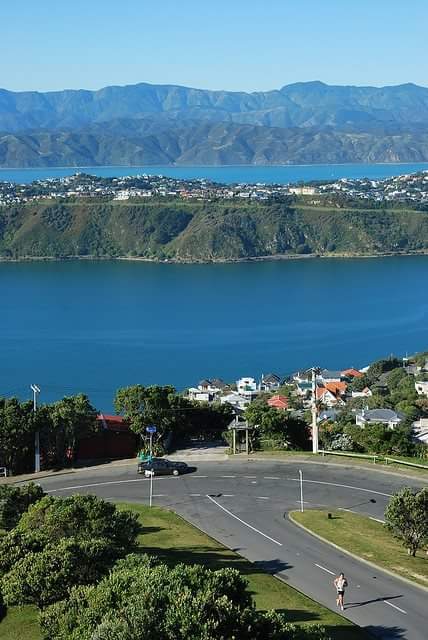 Wellington — photo 3