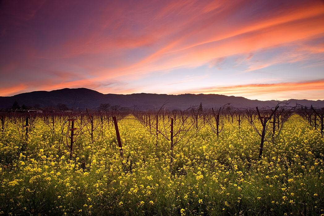 Wine Tours Cape Town & Stellenbosch - Private tours since 2002 — photo 5
