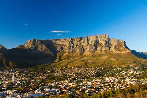 Wine Tours Cape Town & Stellenbosch - Private tours since 2002 — photo 4