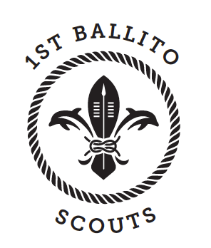 1st Ballito Scouts — photo 3