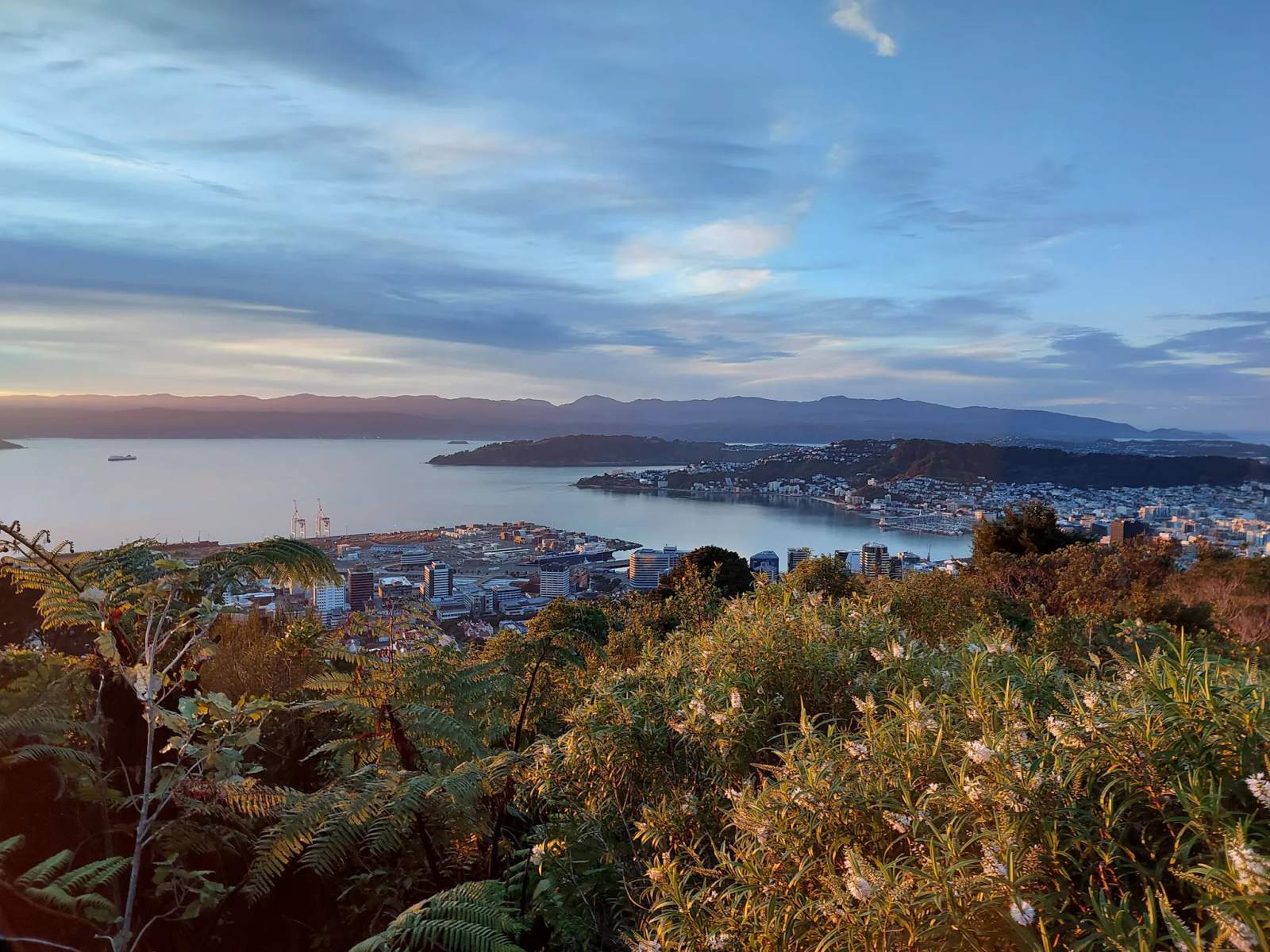 Te Ahumairangi Hill — photo 1