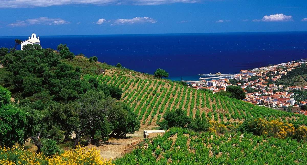 Domaine Pedra Llampada — photo 1