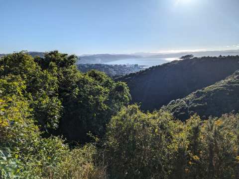 Waimapihi Reserve — photo 3