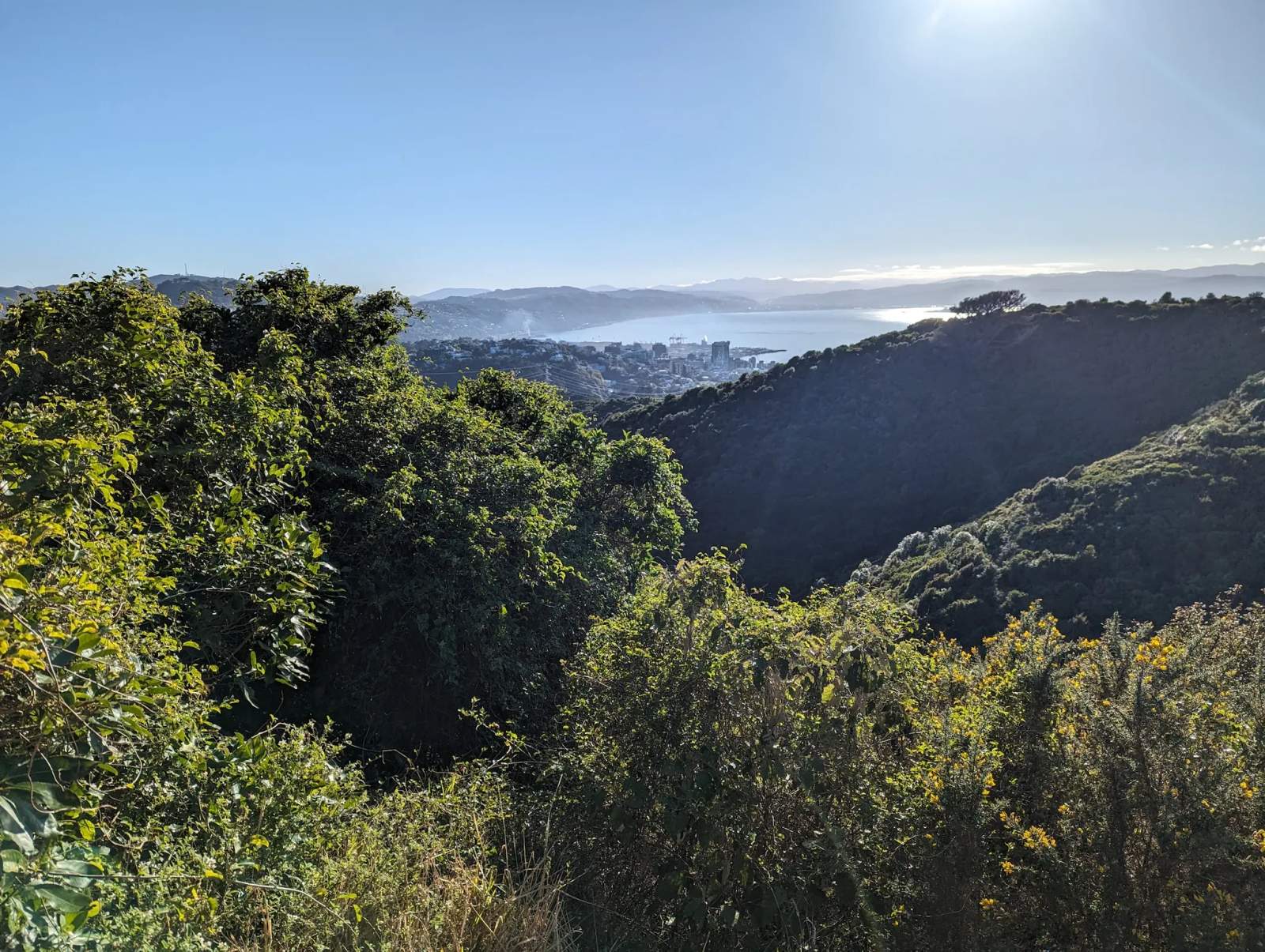 Waimapihi Reserve — photo 3