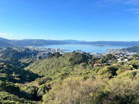 Waimapihi Reserve — photo 2