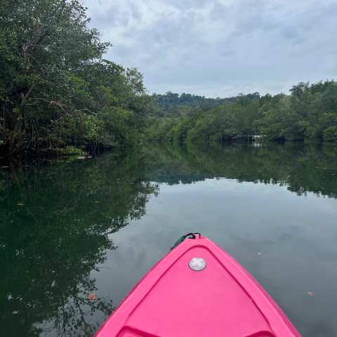 SUP Point Koh Kood. (Kayaking and SUP Boarding Rental) — photo 4