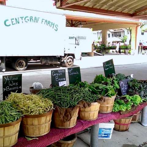 Centgraf Farms — photo 3