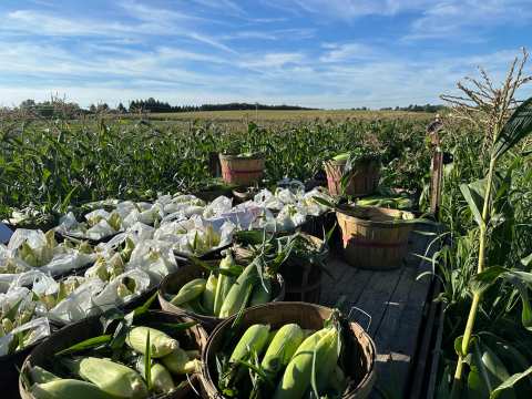 Centgraf Farms — photo 2