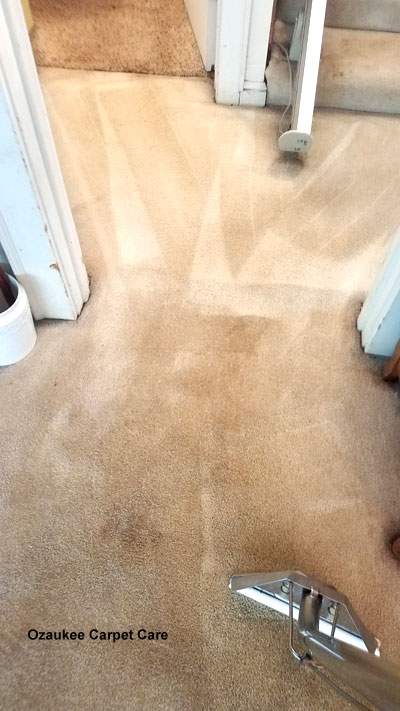 Ozaukee Carpet Care — photo 1
