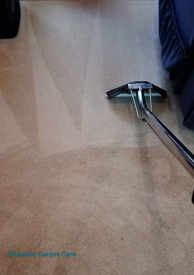 Ozaukee Carpet Care — photo 3
