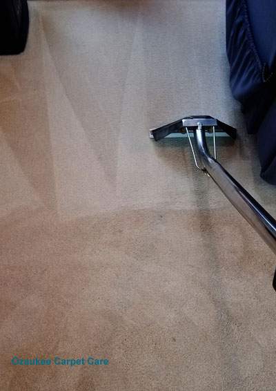 Ozaukee Carpet Care — photo 3