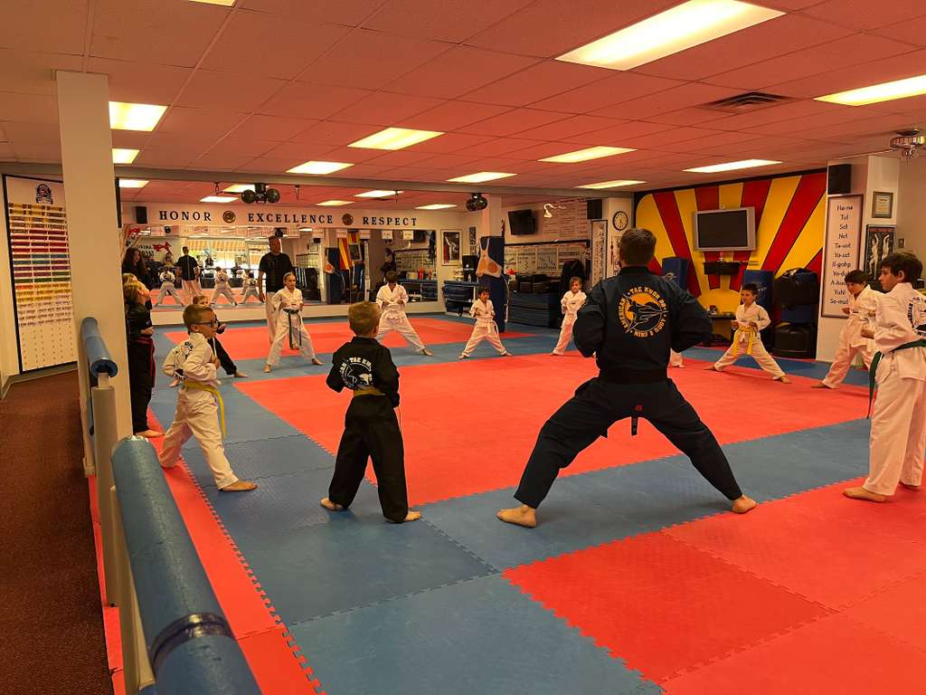 Kids Low Belt Techniques with Master Young