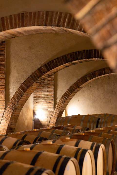 SCEA Domaine Montana — photo 3