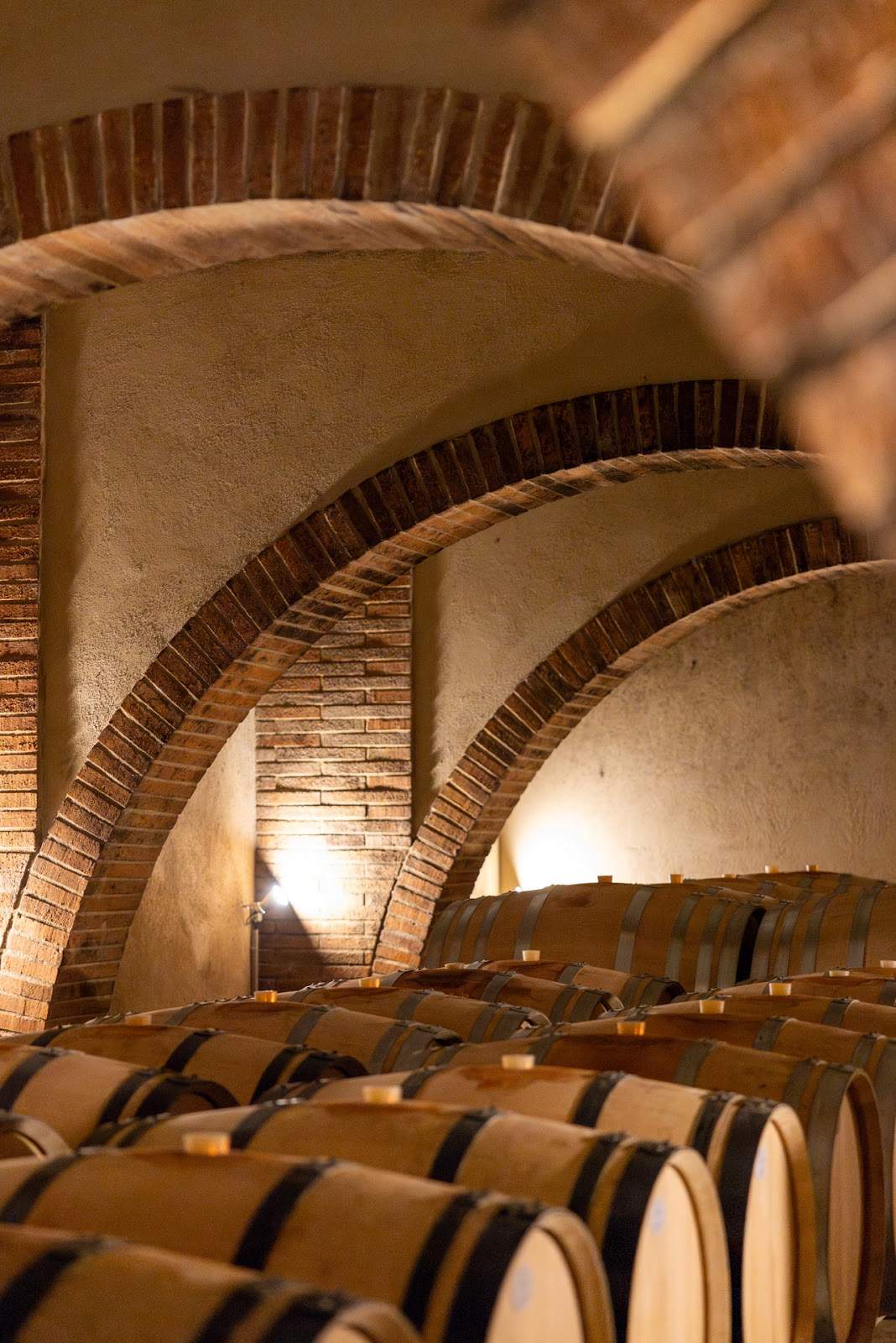 SCEA Domaine Montana — photo 3