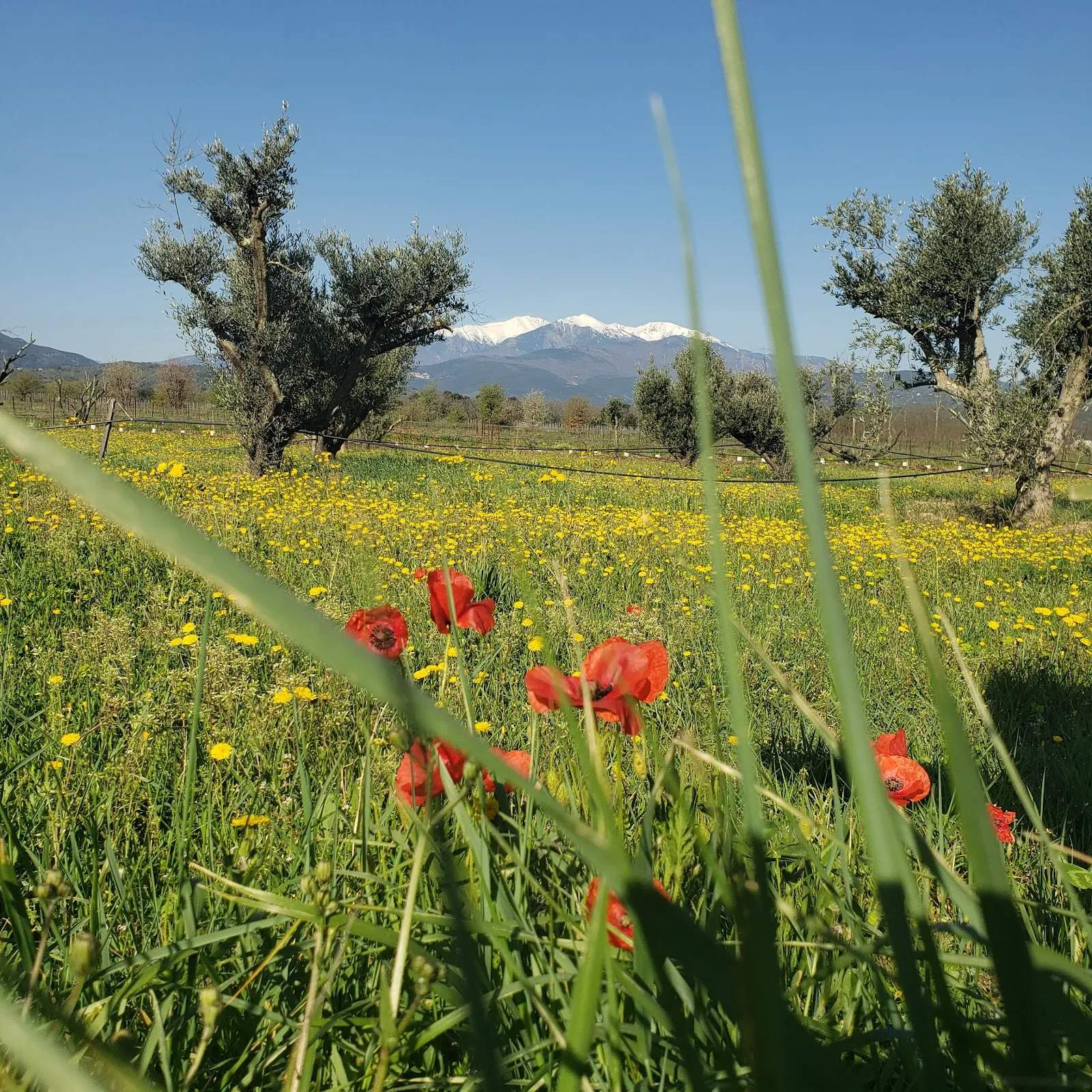 Domaine des 3A / Boutique — photo 1