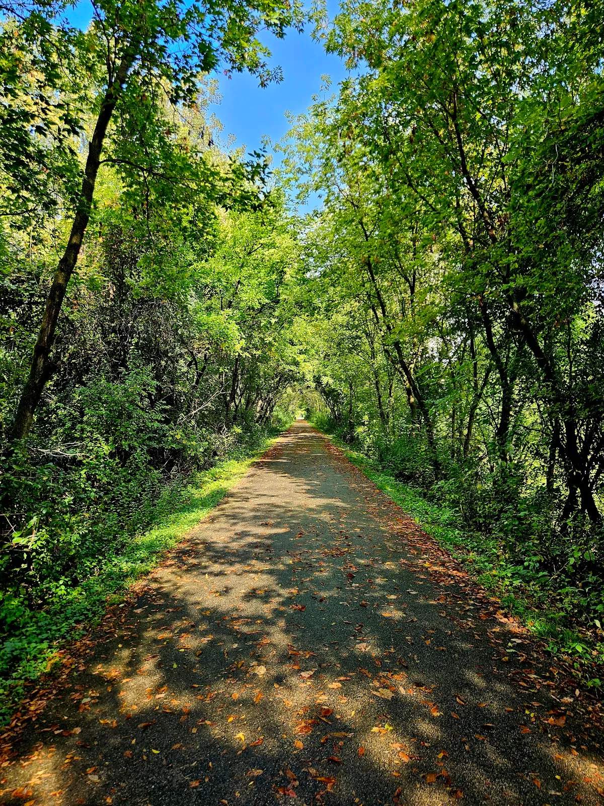 Eisenbahn trail — photo 1