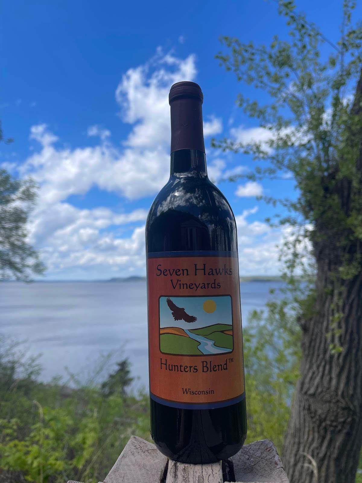 Seven Hawks Vineyards — photo 3