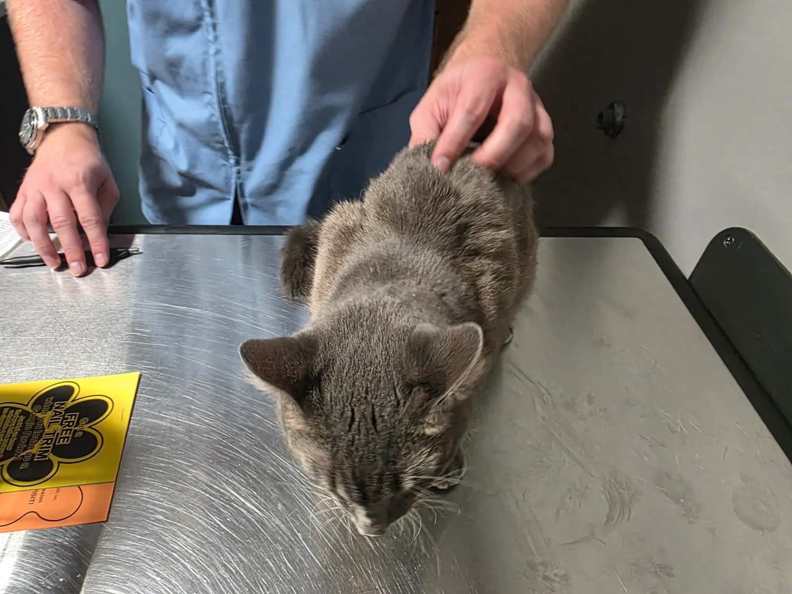 Greenfield Veterinary Clinic — photo 1