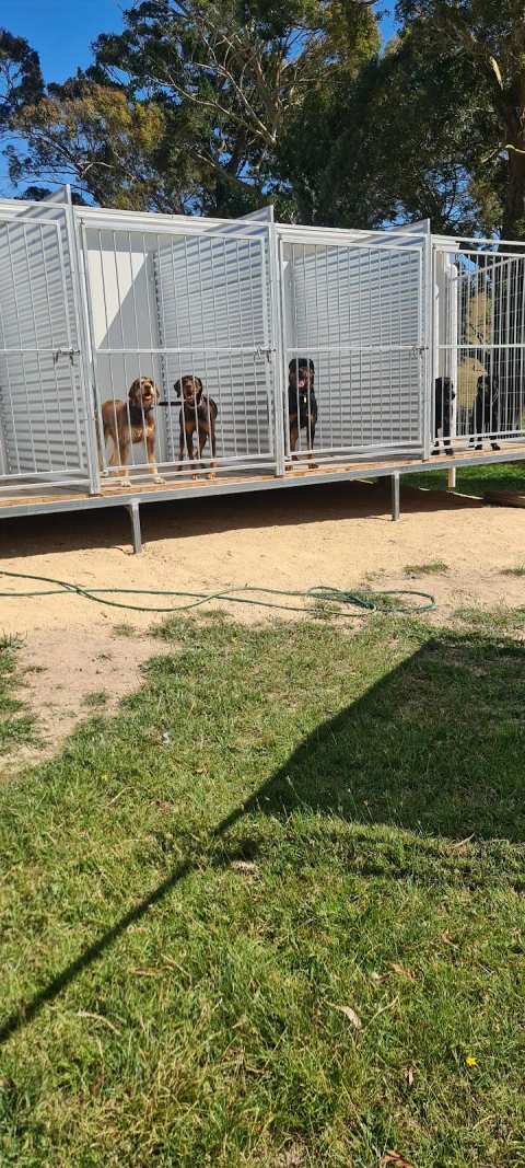 Wairarapa Boarding Kennels — photo 3