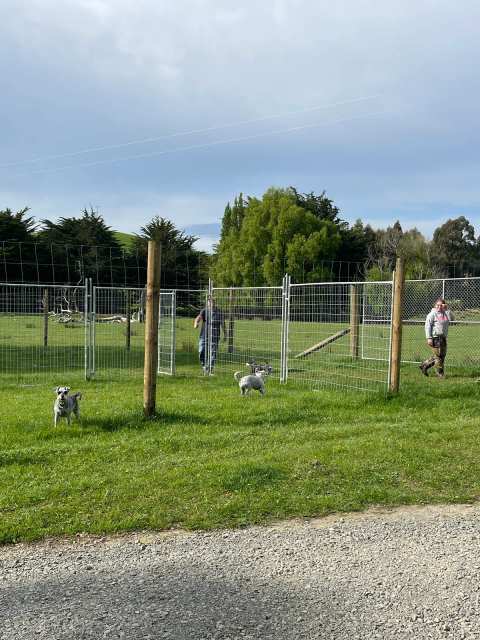 Wairarapa Boarding Kennels — photo 2