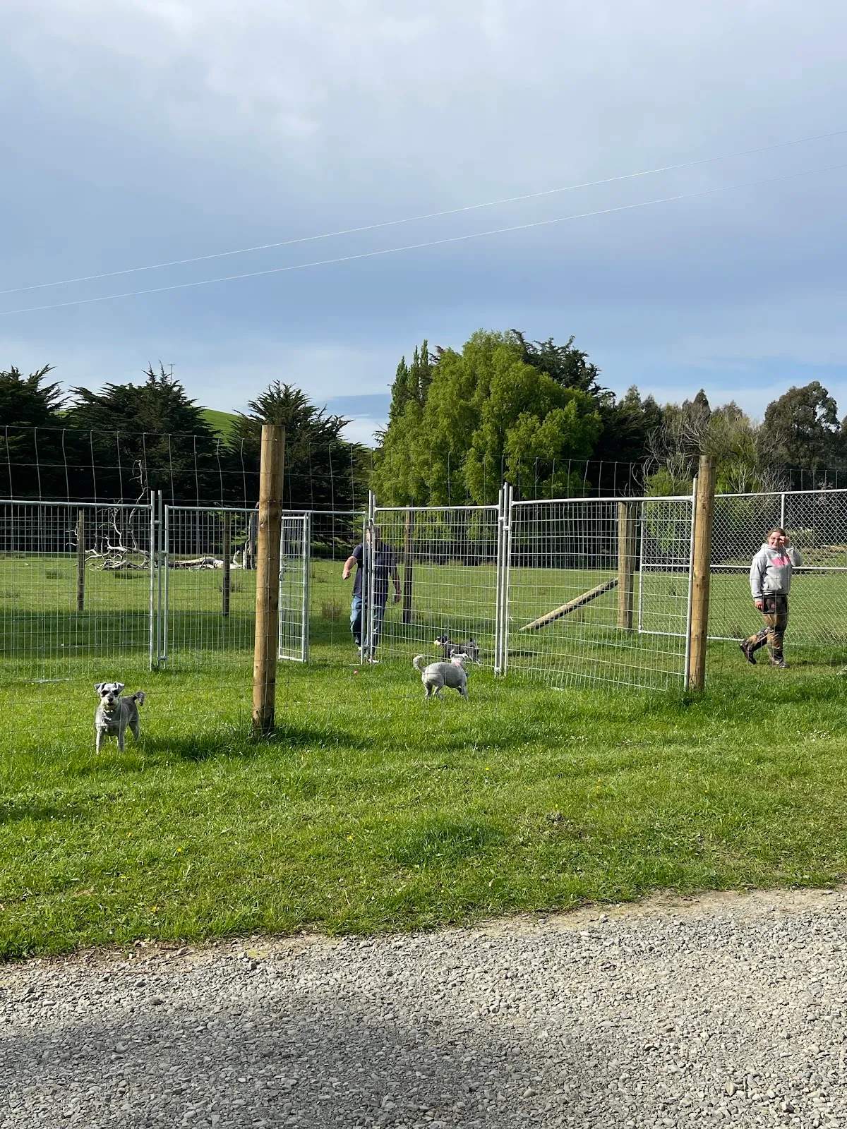 Wairarapa Boarding Kennels — photo 2