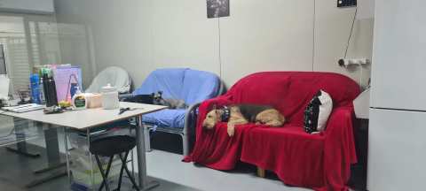 Wairarapa Boarding Kennels — photo 5