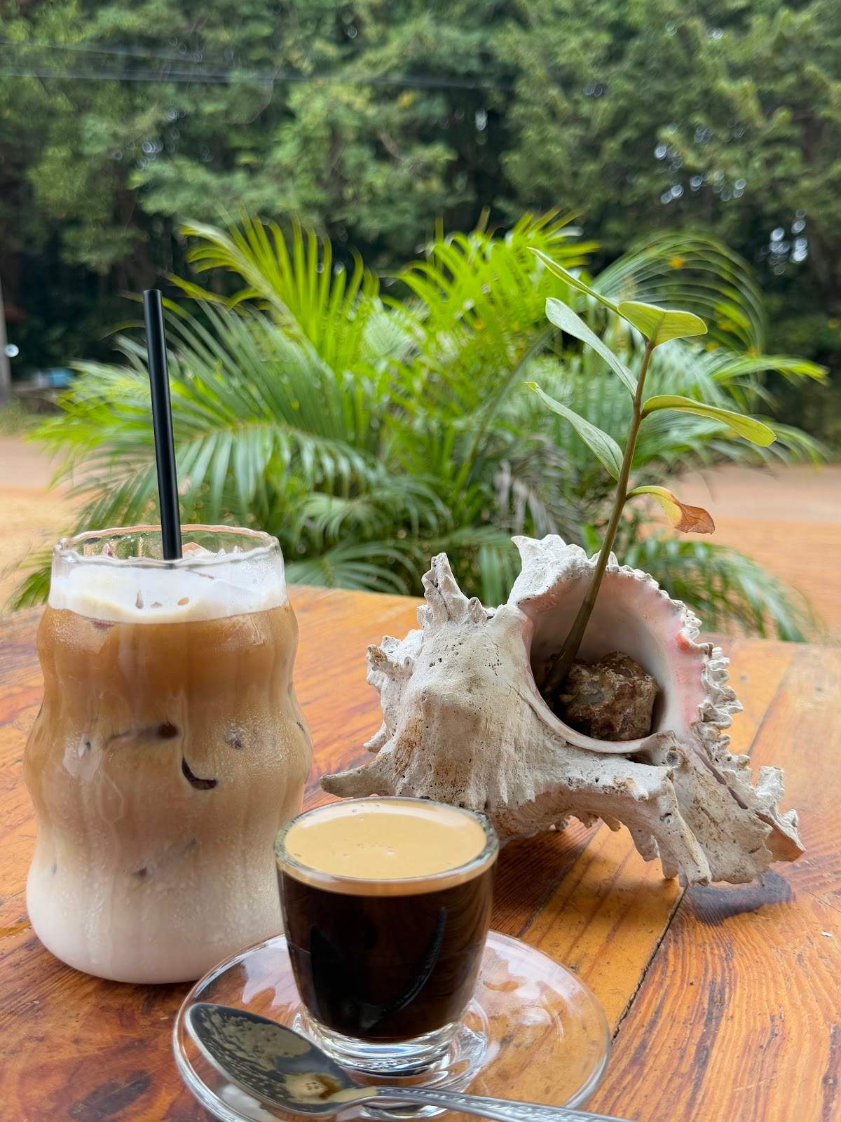 Mak Phrao Coffee & Tea — photo 2
