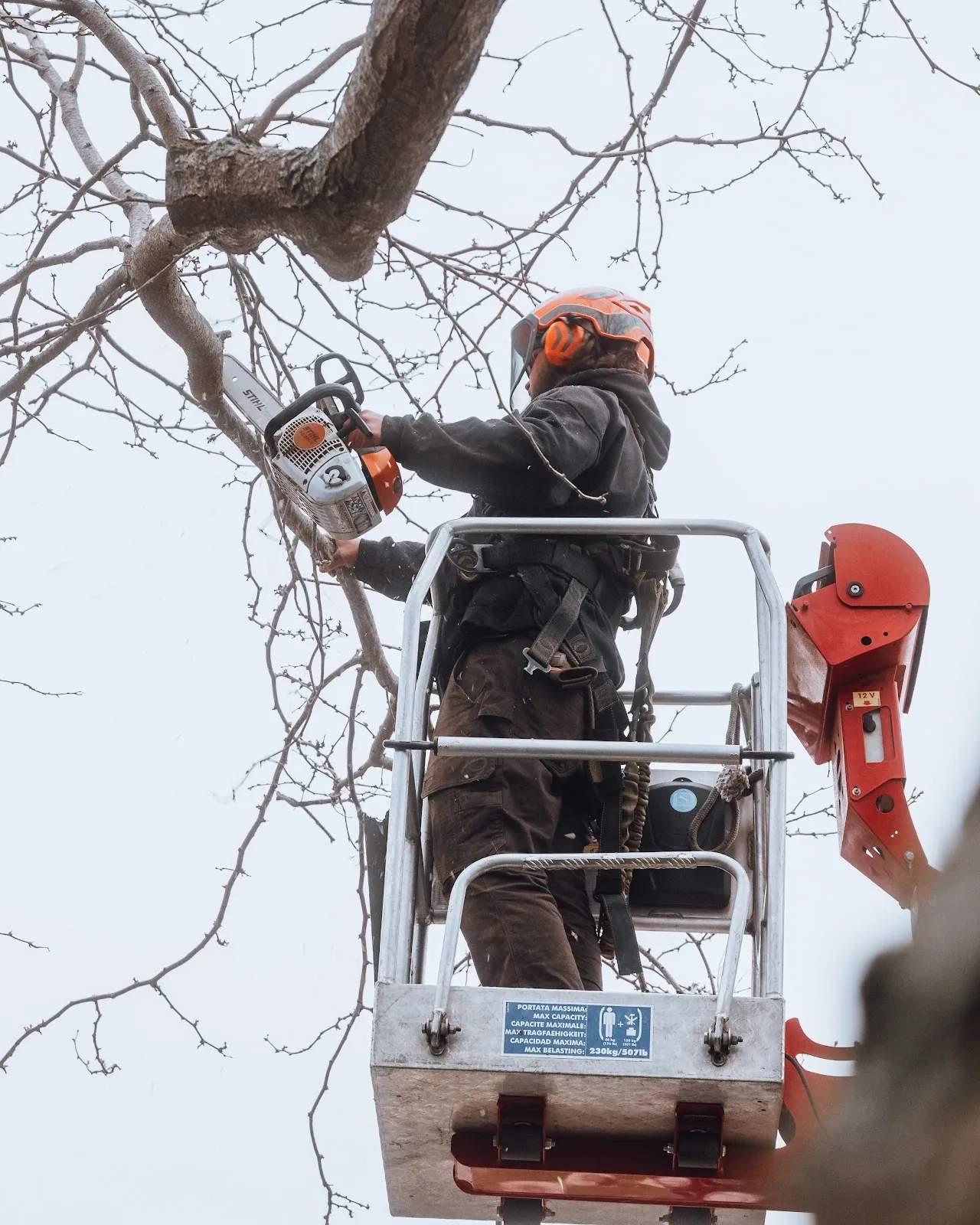 Parm's Tree Service — photo 1