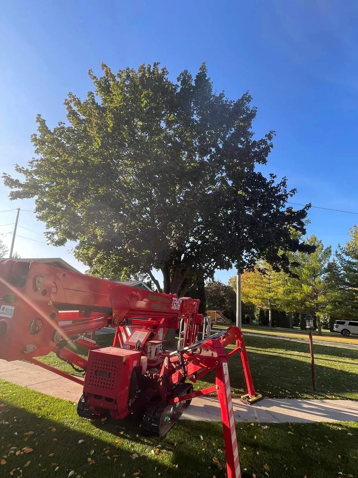 Parm's Tree Service — photo 3