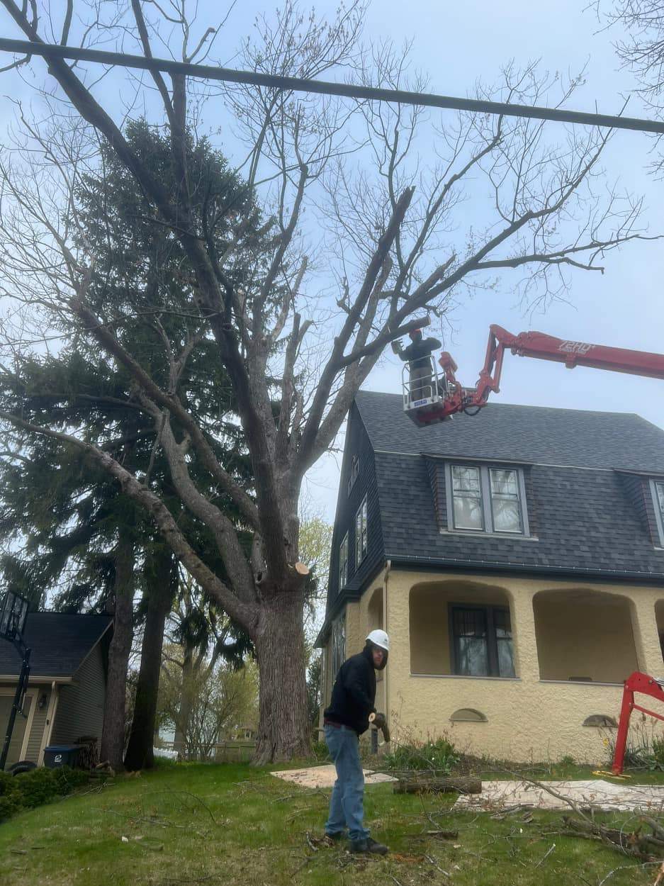 Parm's Tree Service — photo 2