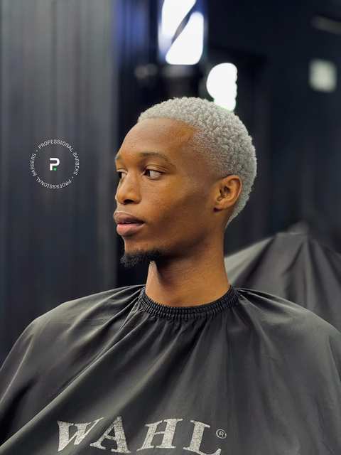The Professional Barbershop — photo 4