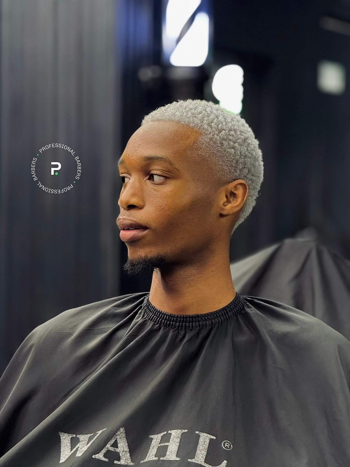 The Professional Barbershop — photo 4
