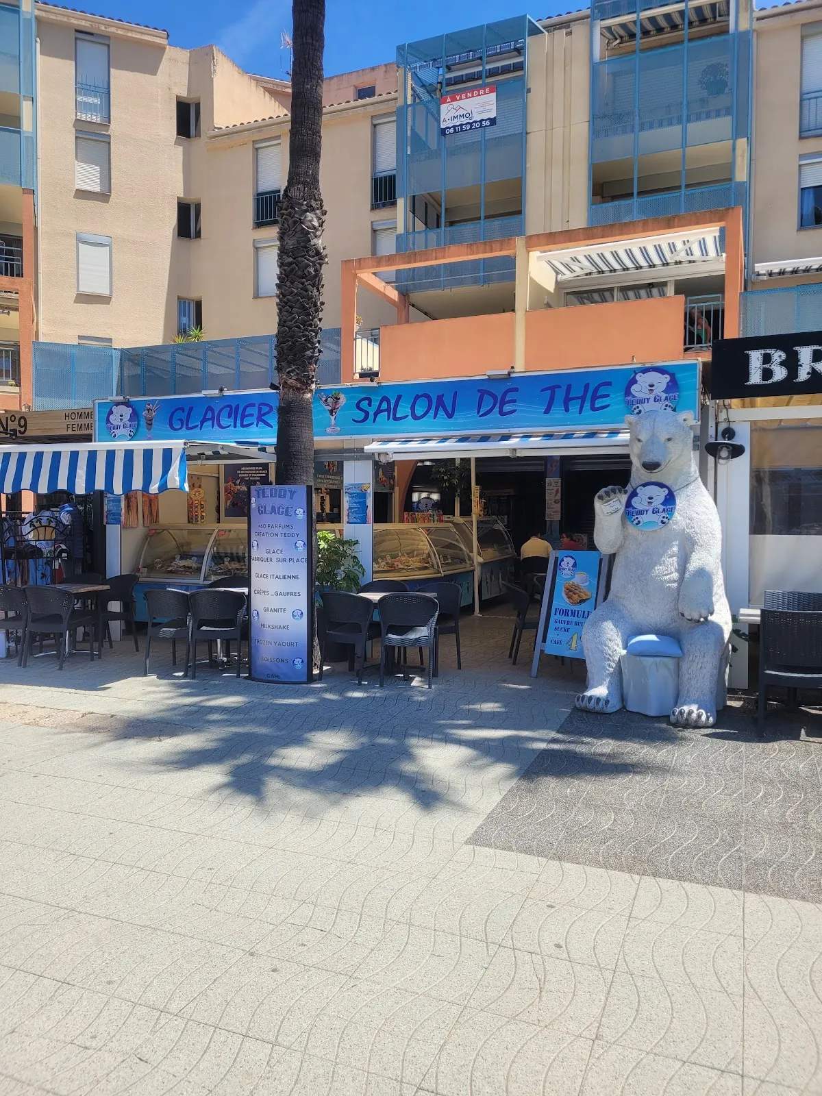 Teddy glace — photo 1