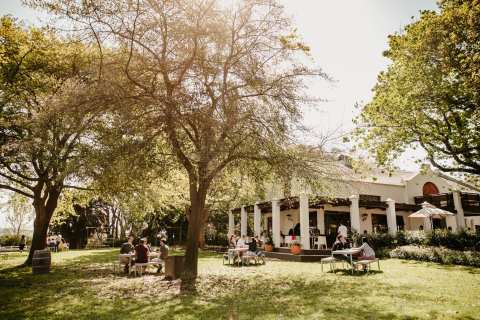 Simonsig Family Vineyards — photo 3