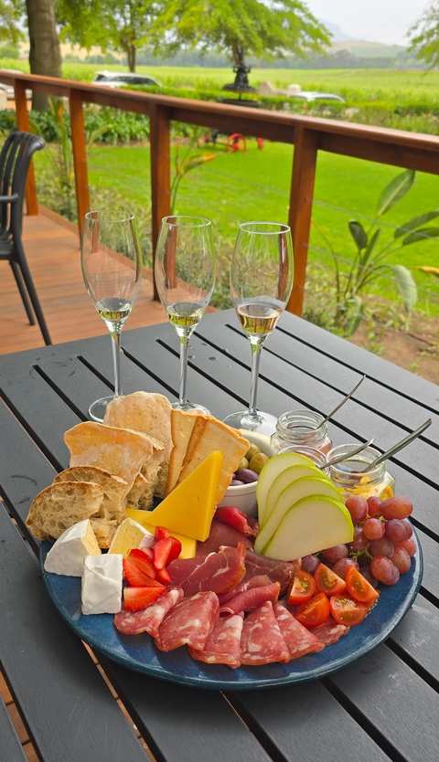 Simonsig Family Vineyards — photo 5