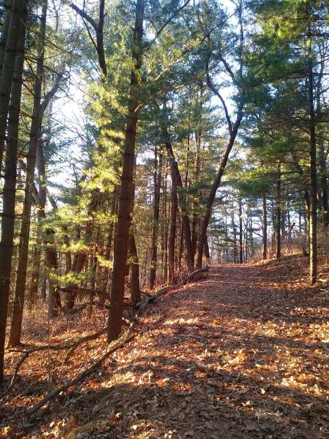 Bigley Park — photo 3