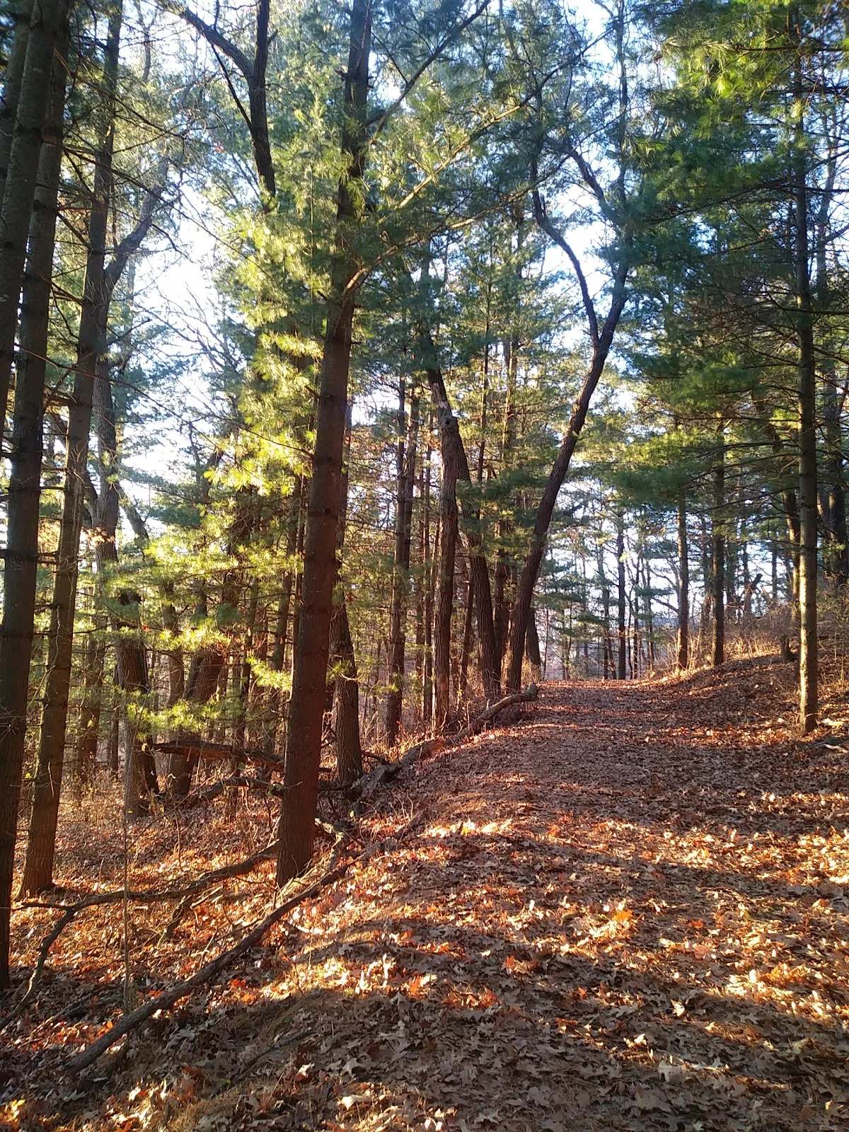 Bigley Park — photo 3