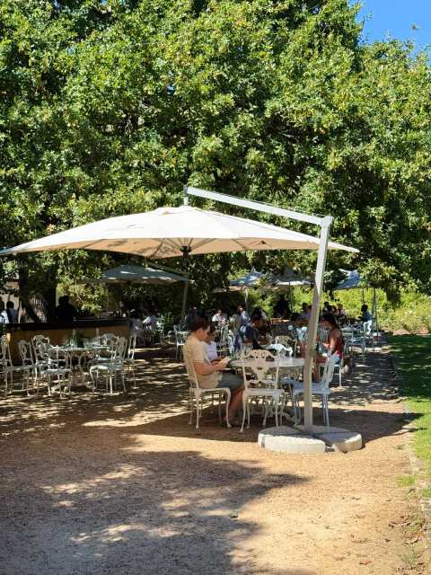 Cellar Door Wine Tasting at Boschendal — photo 5