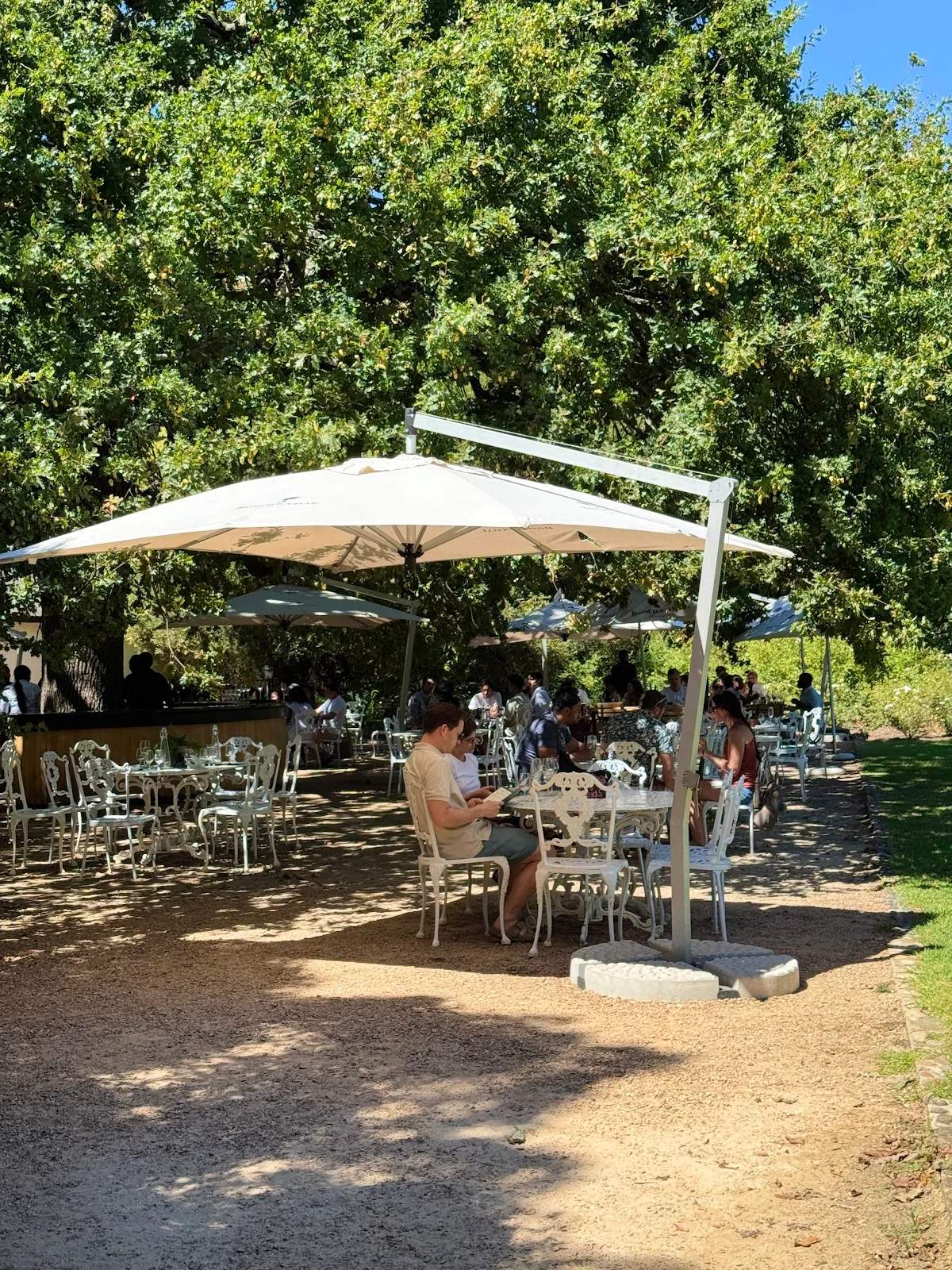 Cellar Door Wine Tasting at Boschendal — photo 5