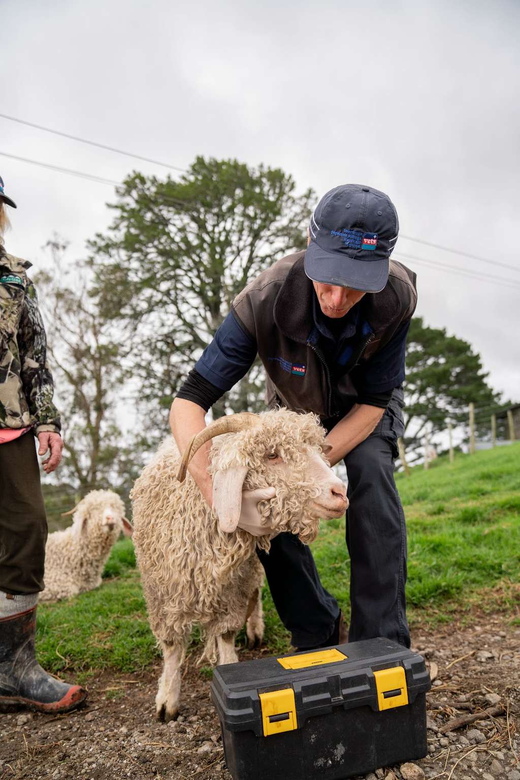Katikati Vets