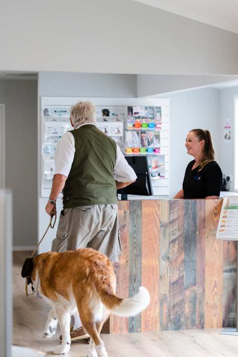 Katikati Vets — photo 3