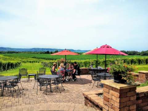 Elmaro Vineyard — photo 2