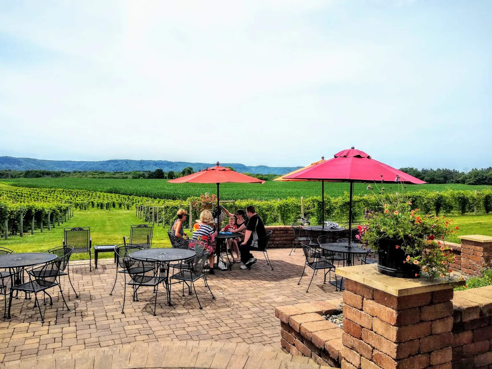 Elmaro Vineyard — photo 2