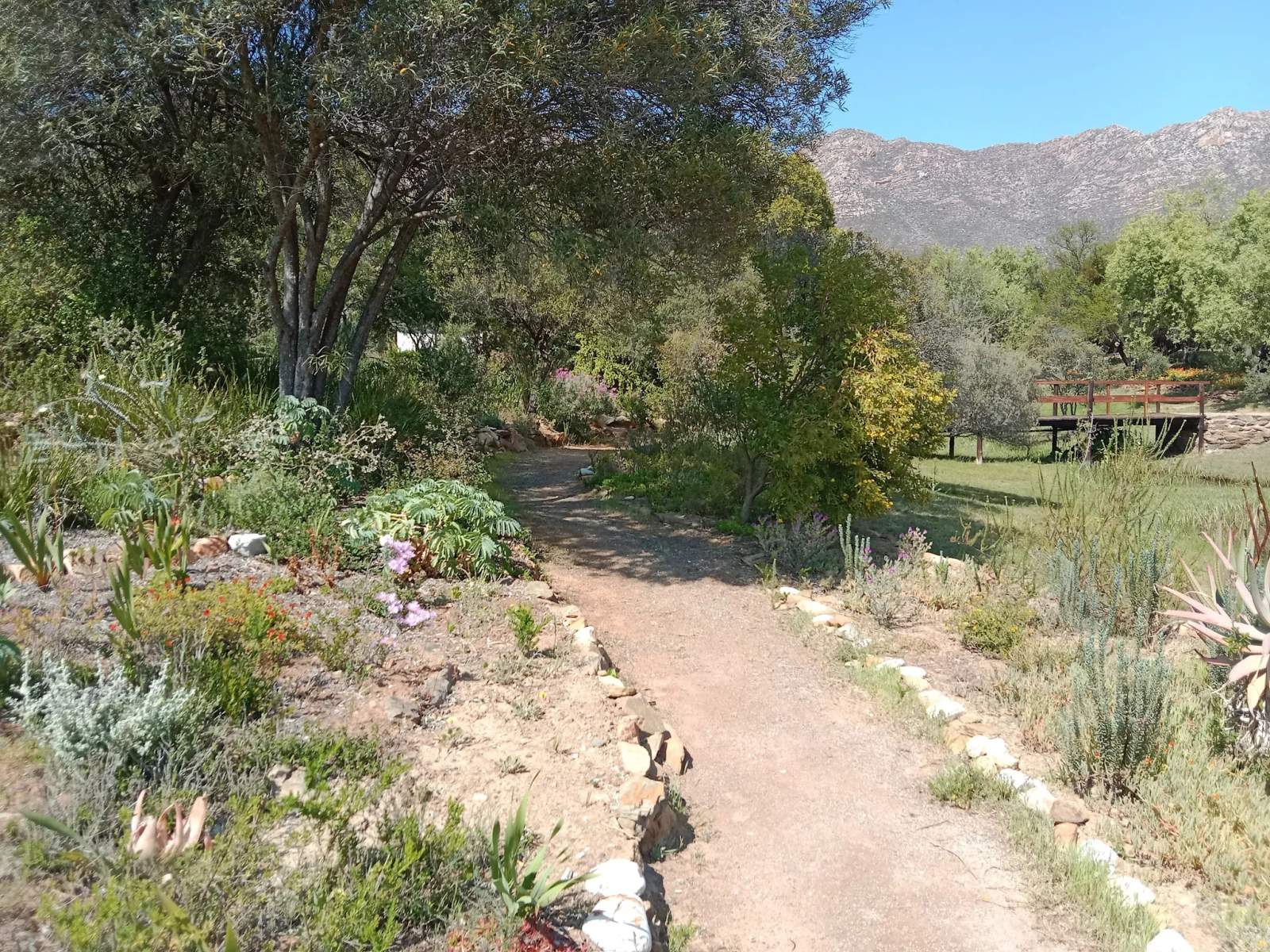 Montagu Nature Garden — photo 2