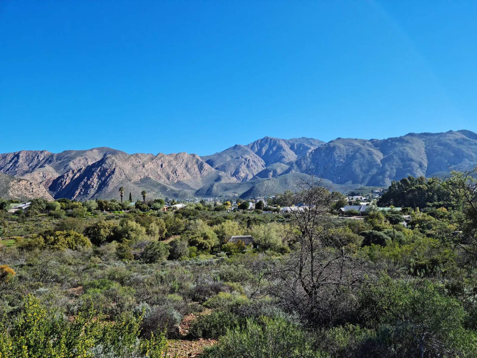 Montagu Nature Garden — photo 3